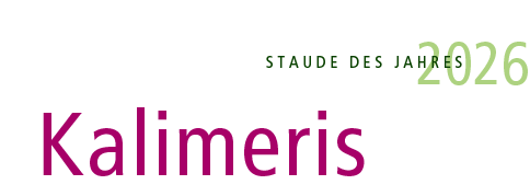 Kalimeris - Schnaster